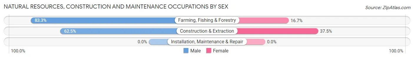 Natural Resources, Construction and Maintenance Occupations by Sex in Zip Code 80812