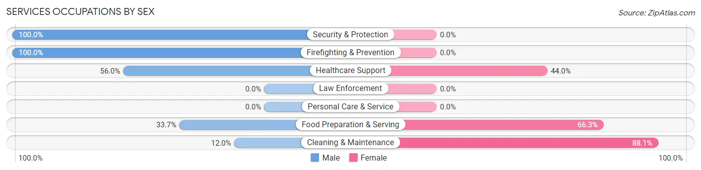 Services Occupations by Sex in Zip Code 80816