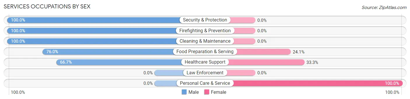 Services Occupations by Sex in Zip Code 80860