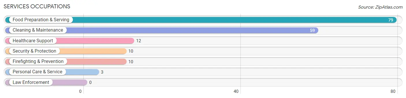 Services Occupations in Zip Code 80860