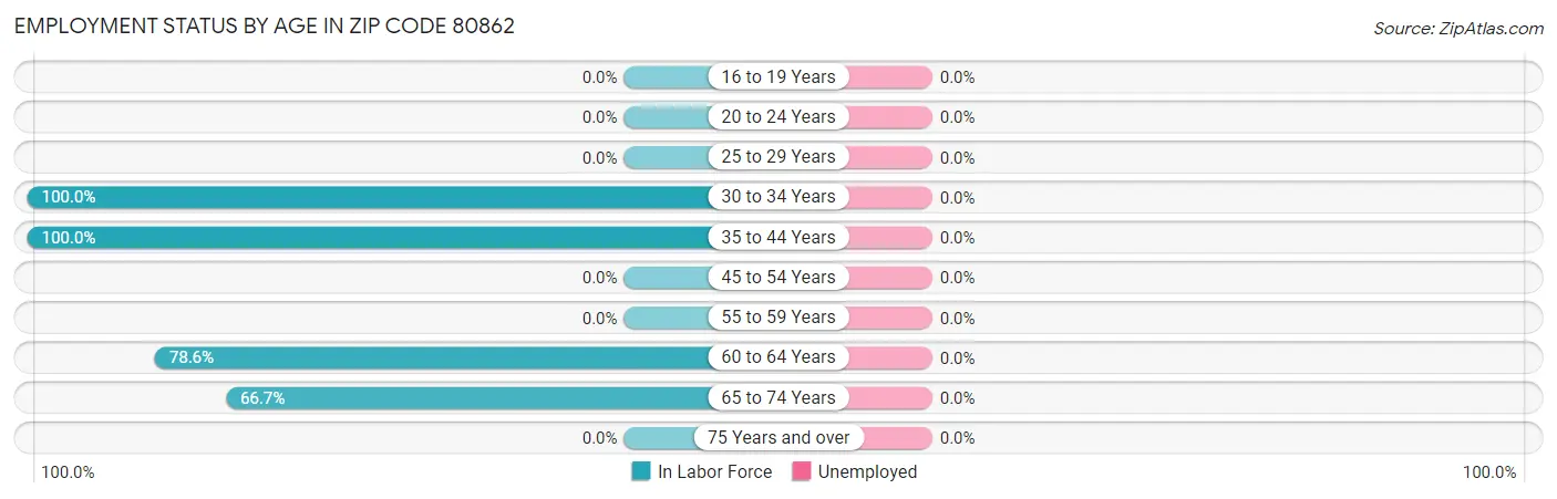 Employment Status by Age in Zip Code 80862
