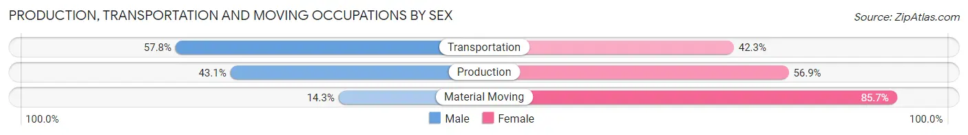 Production, Transportation and Moving Occupations by Sex in Zip Code 80864