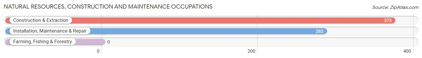 Natural Resources, Construction and Maintenance Occupations in Zip Code 80919