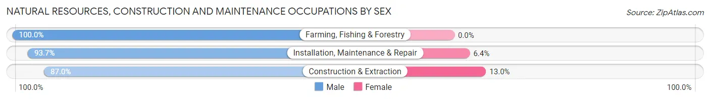 Natural Resources, Construction and Maintenance Occupations by Sex in Zip Code 80920