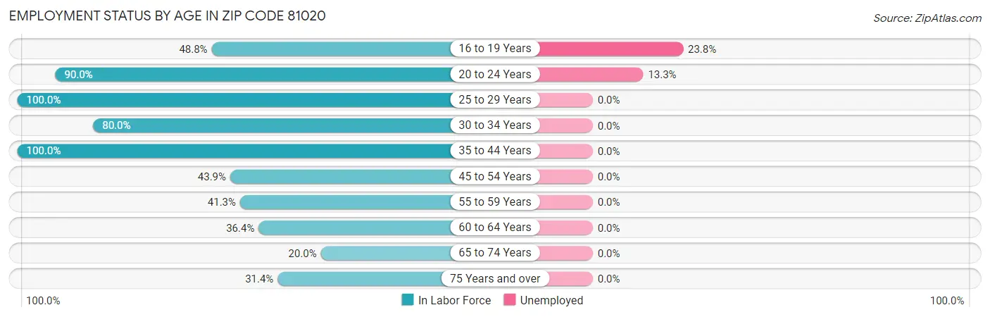 Employment Status by Age in Zip Code 81020