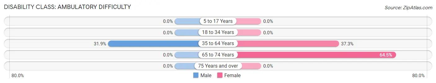 Disability in Zip Code 81024: <span>Ambulatory Difficulty</span>