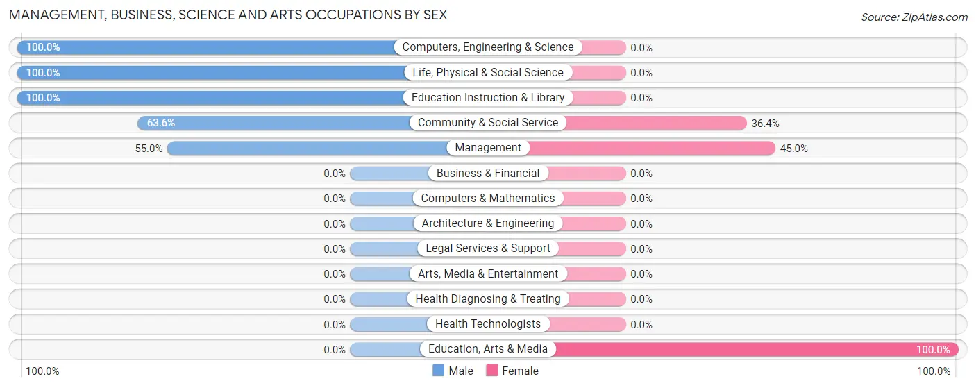 Management, Business, Science and Arts Occupations by Sex in Zip Code 81029