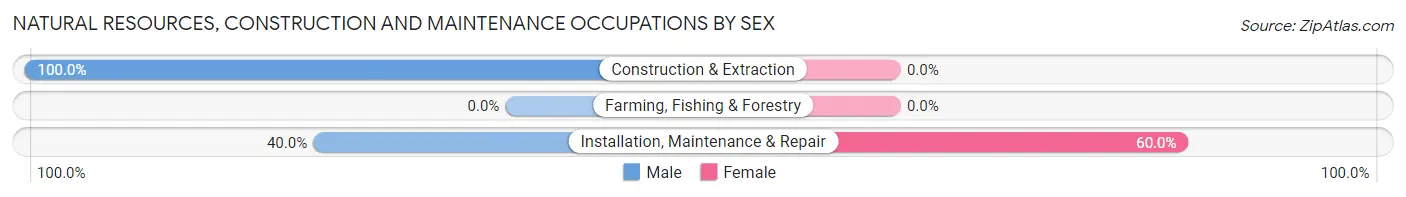 Natural Resources, Construction and Maintenance Occupations by Sex in Zip Code 81030