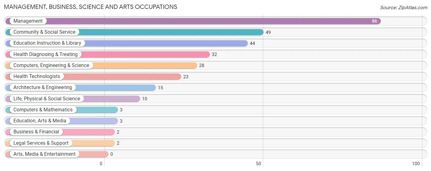 Management, Business, Science and Arts Occupations in Zip Code 81036