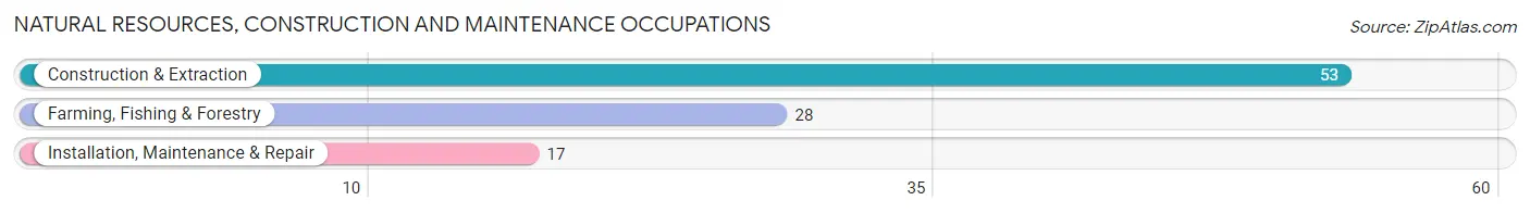 Natural Resources, Construction and Maintenance Occupations in Zip Code 81036