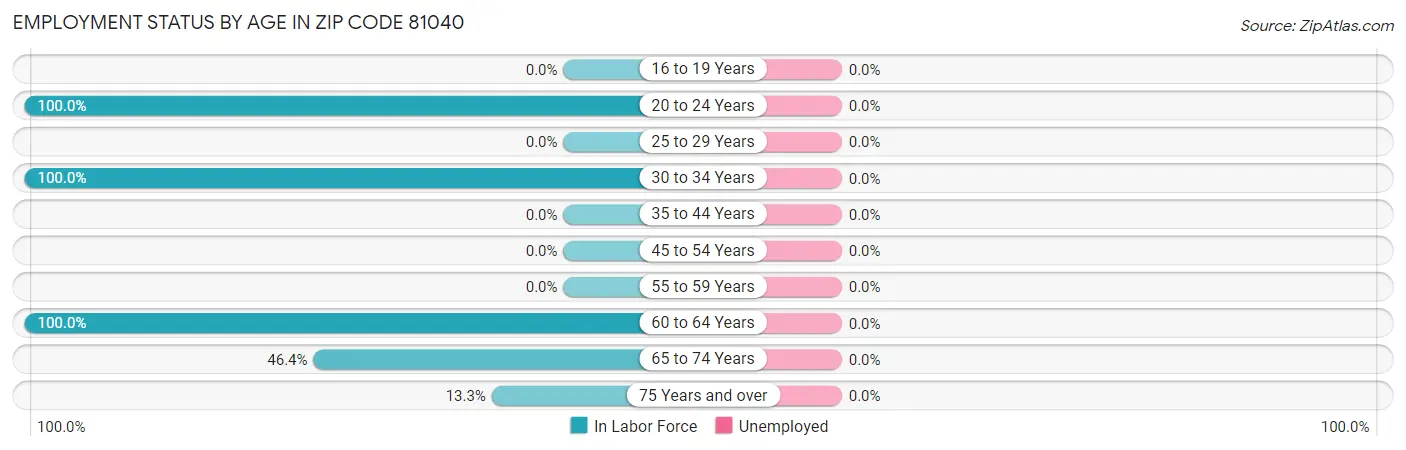 Employment Status by Age in Zip Code 81040
