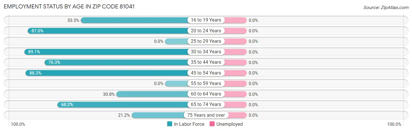 Employment Status by Age in Zip Code 81041