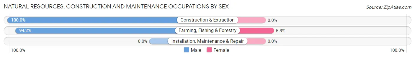Natural Resources, Construction and Maintenance Occupations by Sex in Zip Code 81041