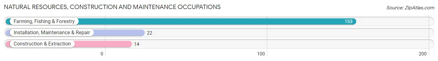 Natural Resources, Construction and Maintenance Occupations in Zip Code 81047