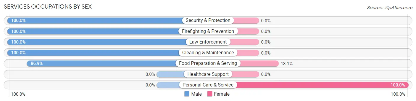 Services Occupations by Sex in Zip Code 81055