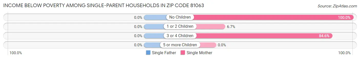 Income Below Poverty Among Single-Parent Households in Zip Code 81063