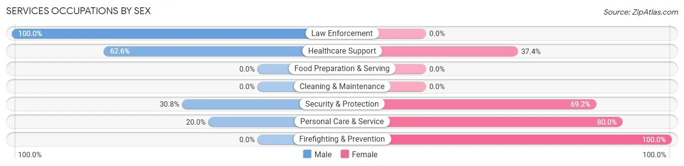 Services Occupations by Sex in Zip Code 81063
