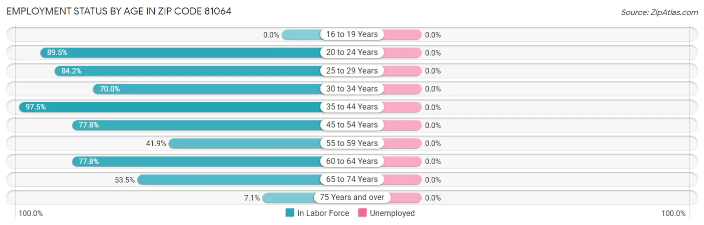 Employment Status by Age in Zip Code 81064