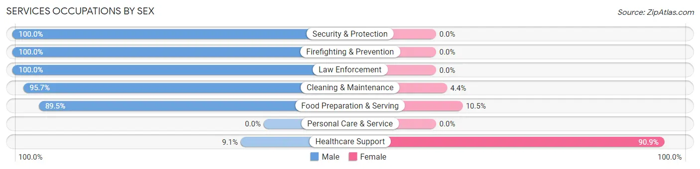 Services Occupations by Sex in Zip Code 81076