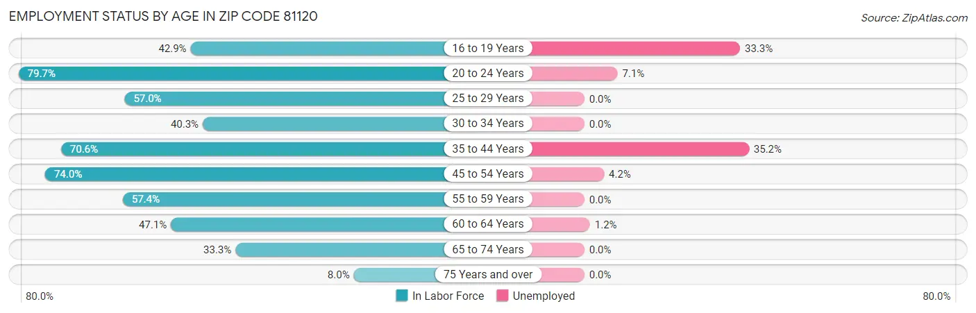 Employment Status by Age in Zip Code 81120
