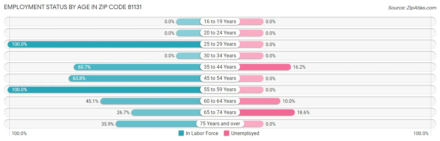 Employment Status by Age in Zip Code 81131