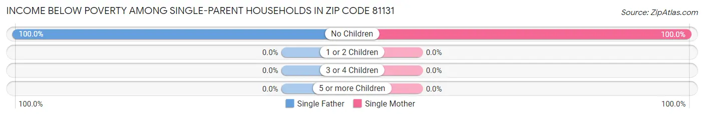Income Below Poverty Among Single-Parent Households in Zip Code 81131