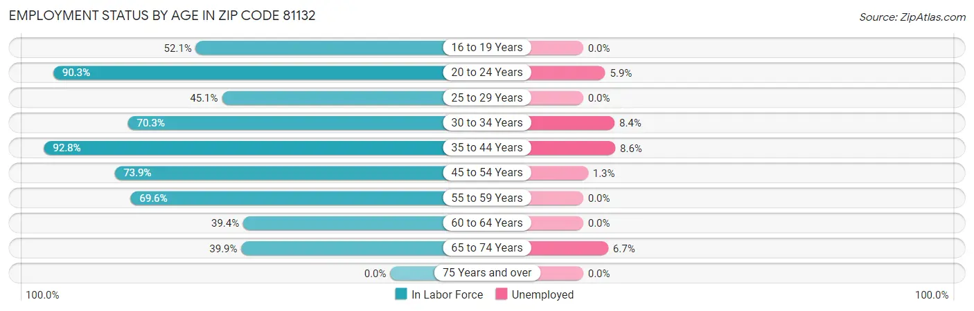 Employment Status by Age in Zip Code 81132