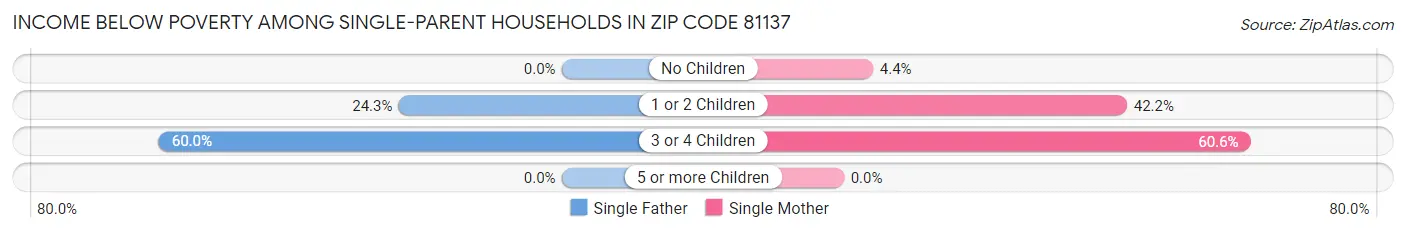Income Below Poverty Among Single-Parent Households in Zip Code 81137