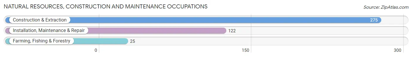 Natural Resources, Construction and Maintenance Occupations in Zip Code 81137