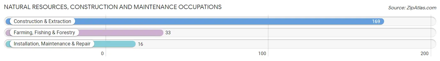 Natural Resources, Construction and Maintenance Occupations in Zip Code 81146