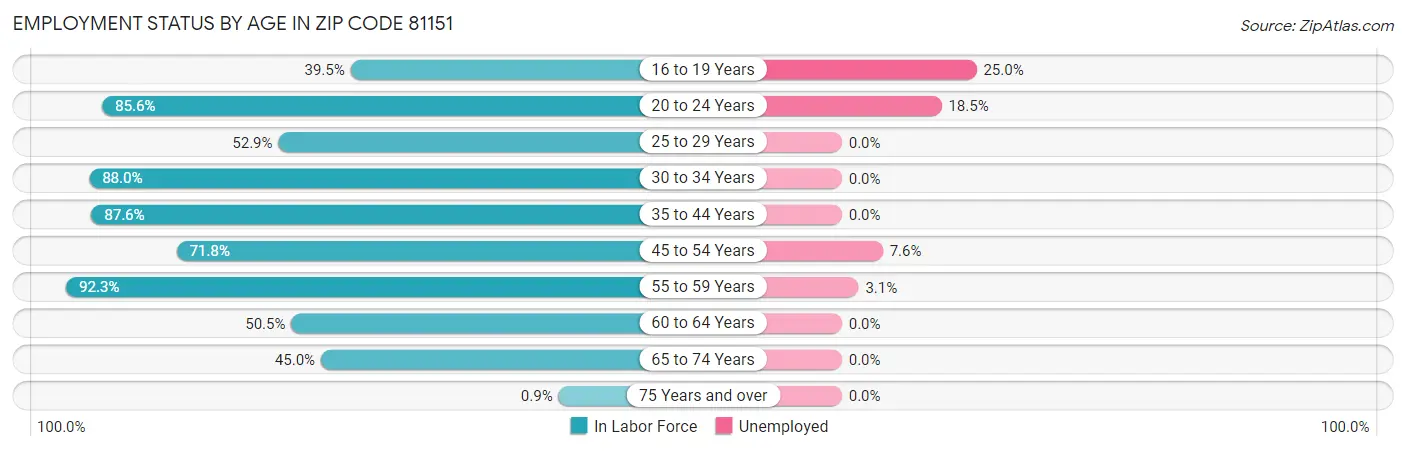 Employment Status by Age in Zip Code 81151