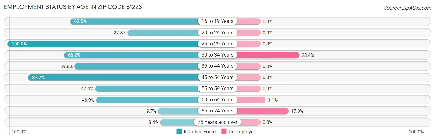 Employment Status by Age in Zip Code 81223