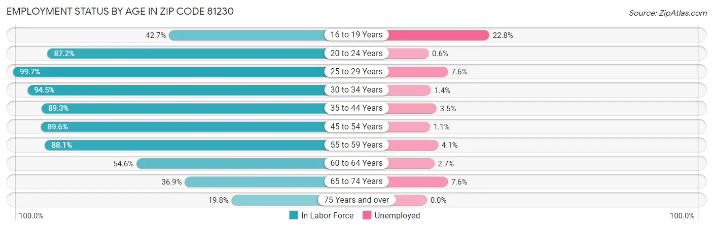 Employment Status by Age in Zip Code 81230