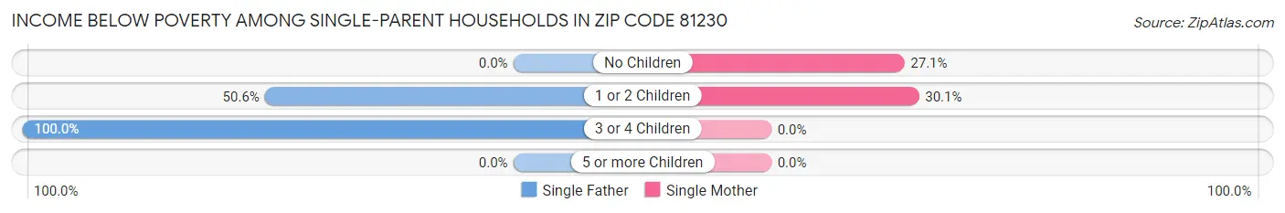 Income Below Poverty Among Single-Parent Households in Zip Code 81230