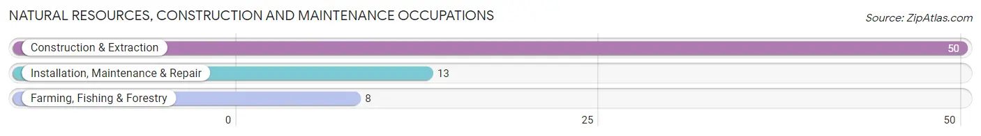 Natural Resources, Construction and Maintenance Occupations in Zip Code 81236