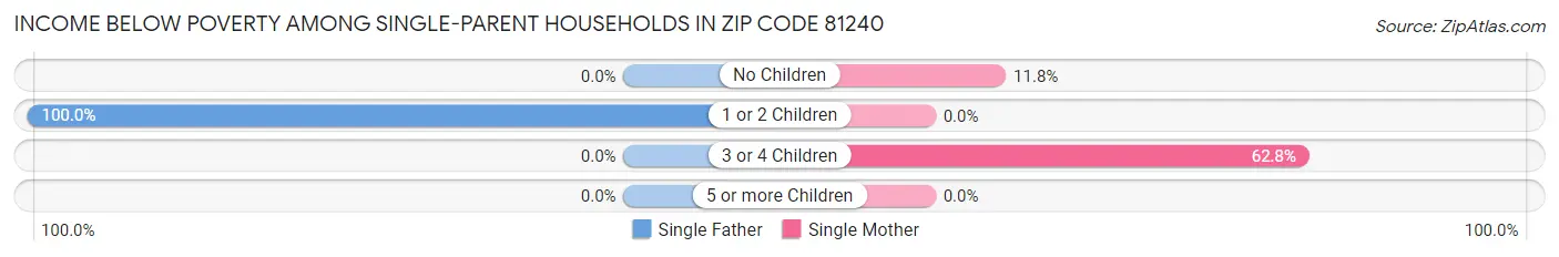 Income Below Poverty Among Single-Parent Households in Zip Code 81240