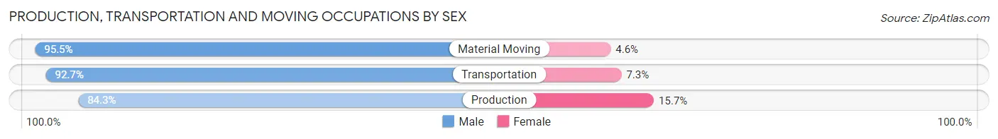 Production, Transportation and Moving Occupations by Sex in Zip Code 81303
