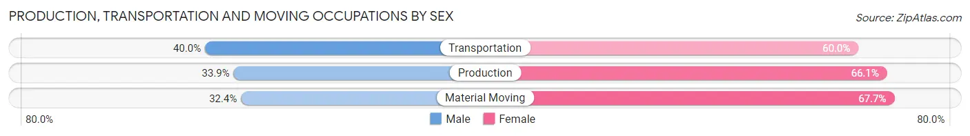 Production, Transportation and Moving Occupations by Sex in Zip Code 81413
