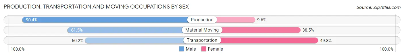 Production, Transportation and Moving Occupations by Sex in Zip Code 81416