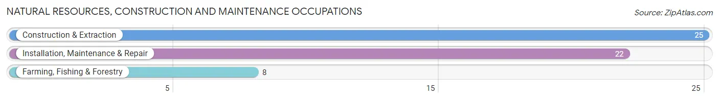 Natural Resources, Construction and Maintenance Occupations in Zip Code 81422