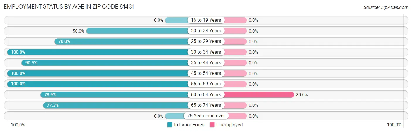 Employment Status by Age in Zip Code 81431