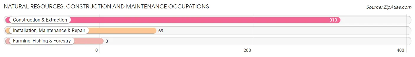 Natural Resources, Construction and Maintenance Occupations in Zip Code 81506