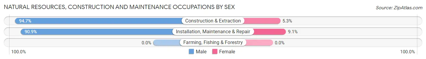 Natural Resources, Construction and Maintenance Occupations by Sex in Zip Code 81521