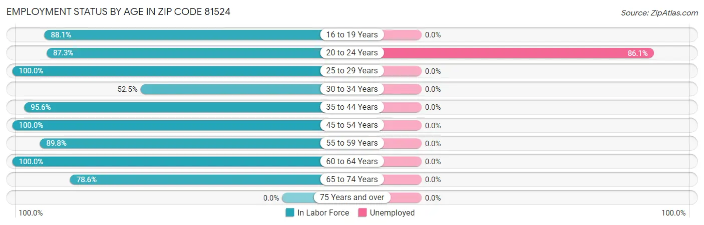 Employment Status by Age in Zip Code 81524