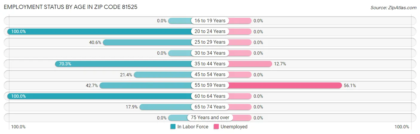 Employment Status by Age in Zip Code 81525