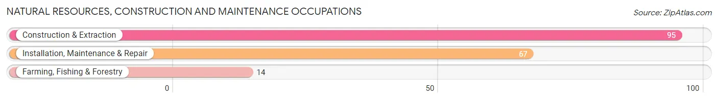 Natural Resources, Construction and Maintenance Occupations in Zip Code 81527