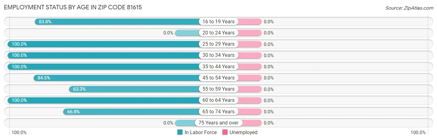 Employment Status by Age in Zip Code 81615