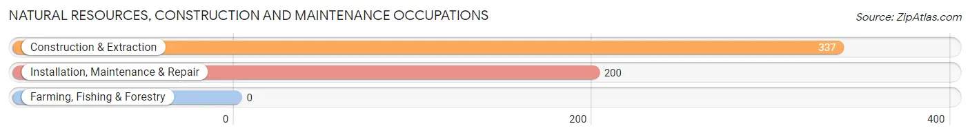 Natural Resources, Construction and Maintenance Occupations in Zip Code 81620