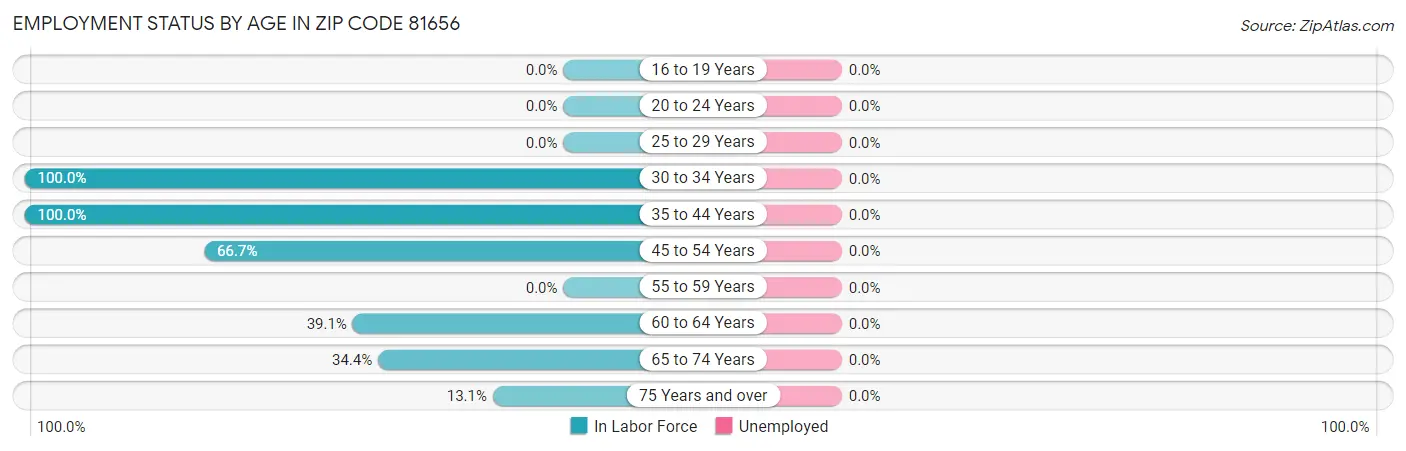 Employment Status by Age in Zip Code 81656