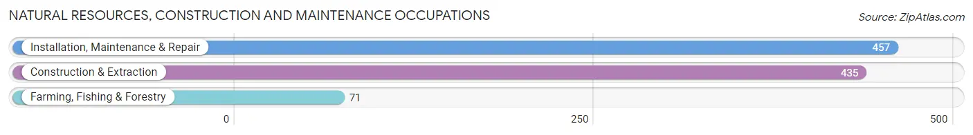 Natural Resources, Construction and Maintenance Occupations in Zip Code 82072